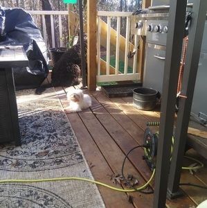 Meet your Posher, Dee